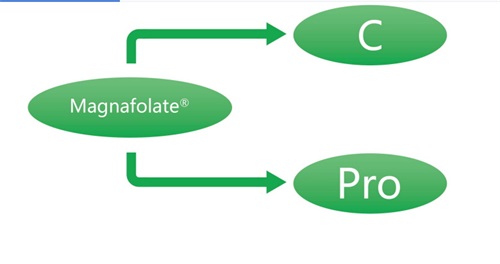 Magnafolate L-5-Methyltetrahydrofolate Calcium